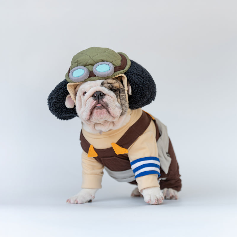 WONTON Bullsopp costume