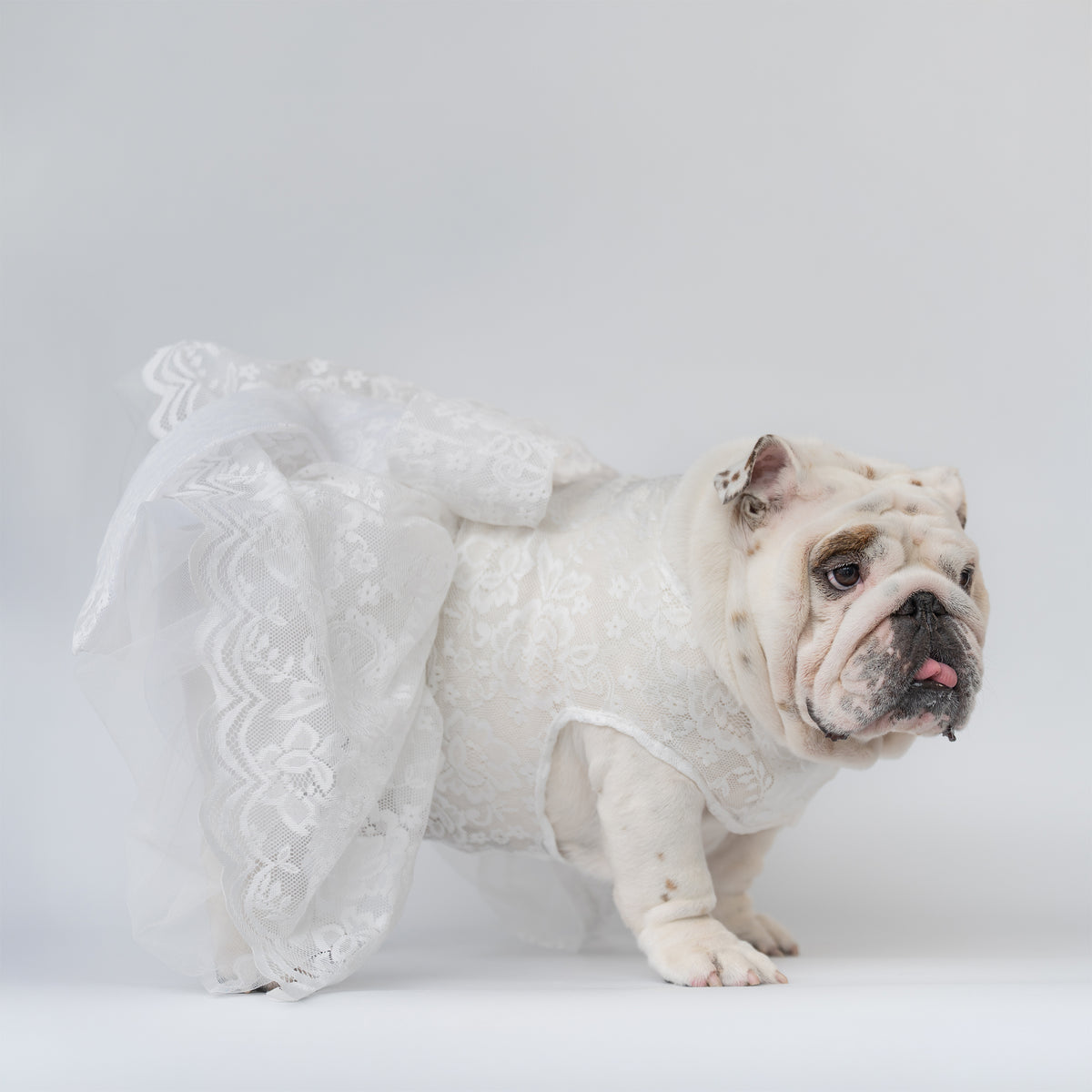 WONTON Cloud Bride Dress (Ultra-Breathable)