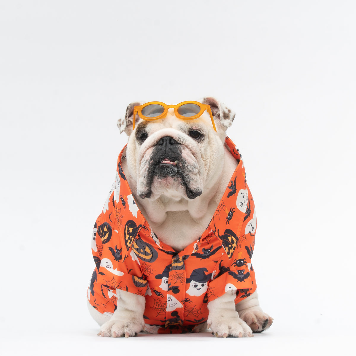 WONTON Halloween 2025 shirt