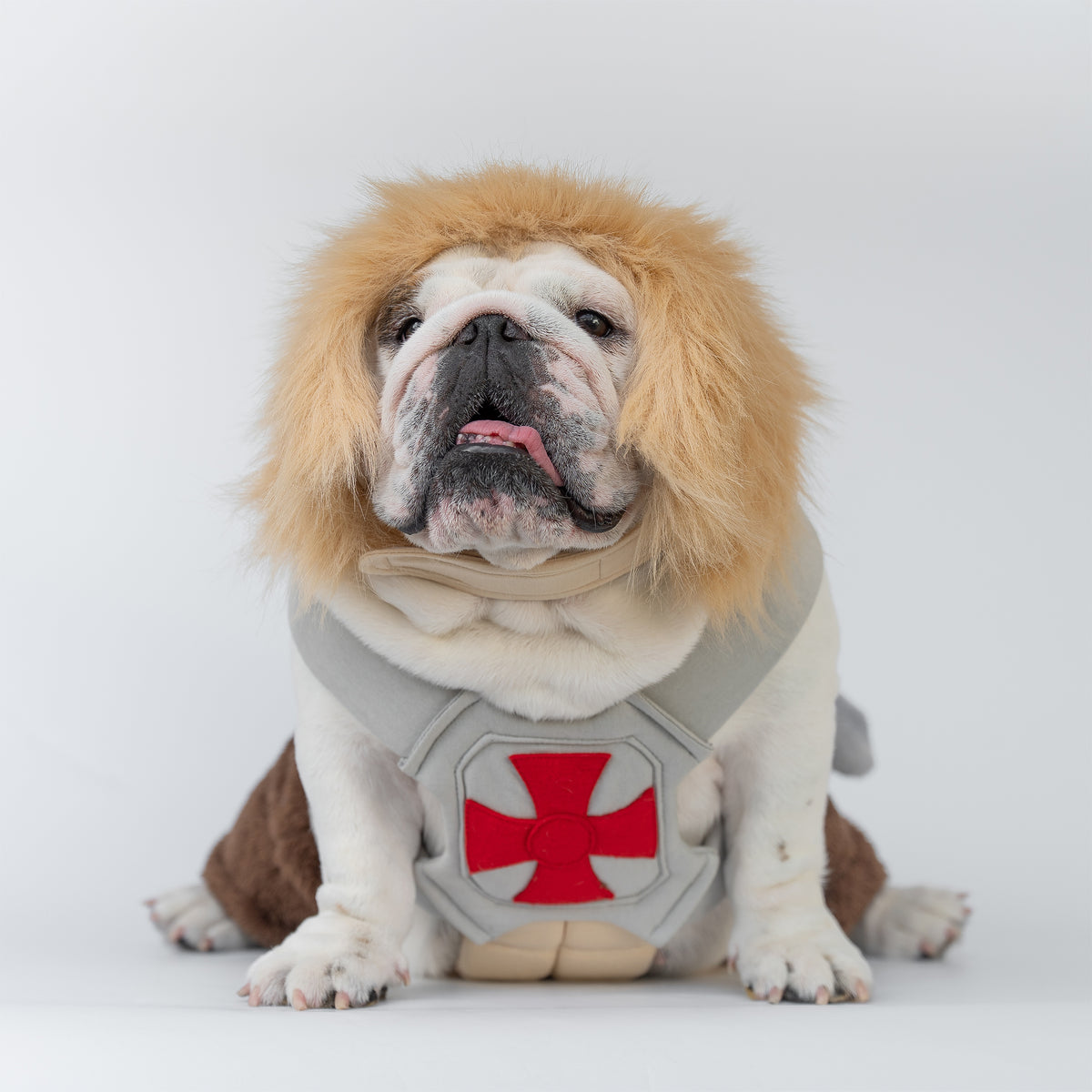 WONTON He-Pup Costume