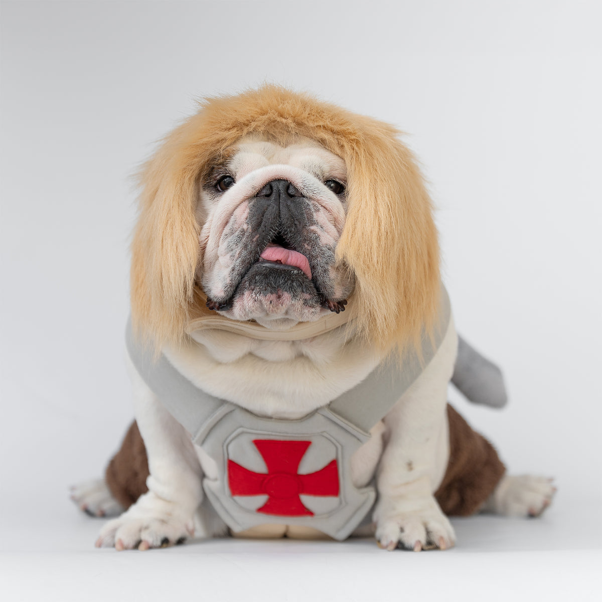 WONTON He-Pup Costume