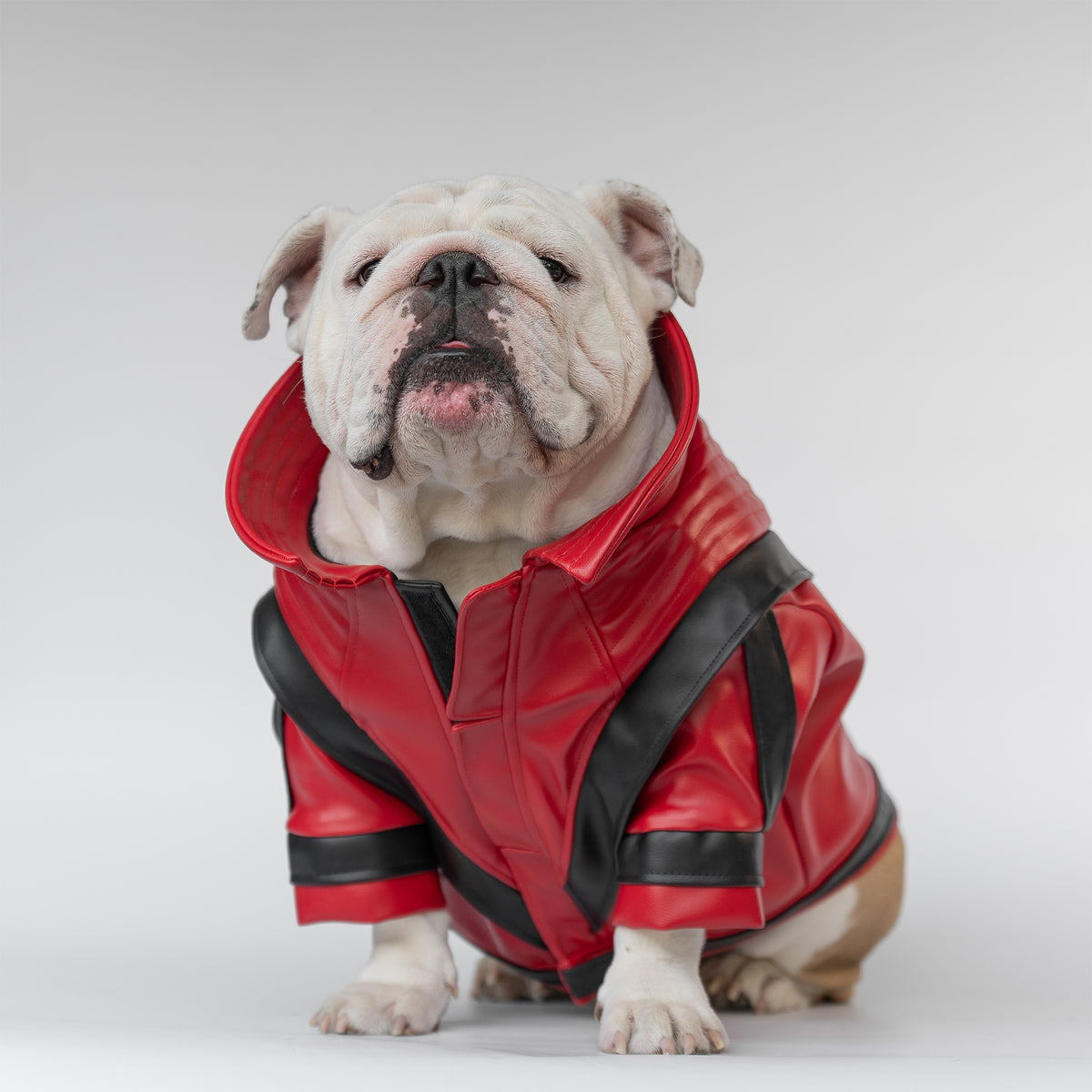 WONTON Midnight Thriller Jacket (Limited Edition) – Wonton Collection