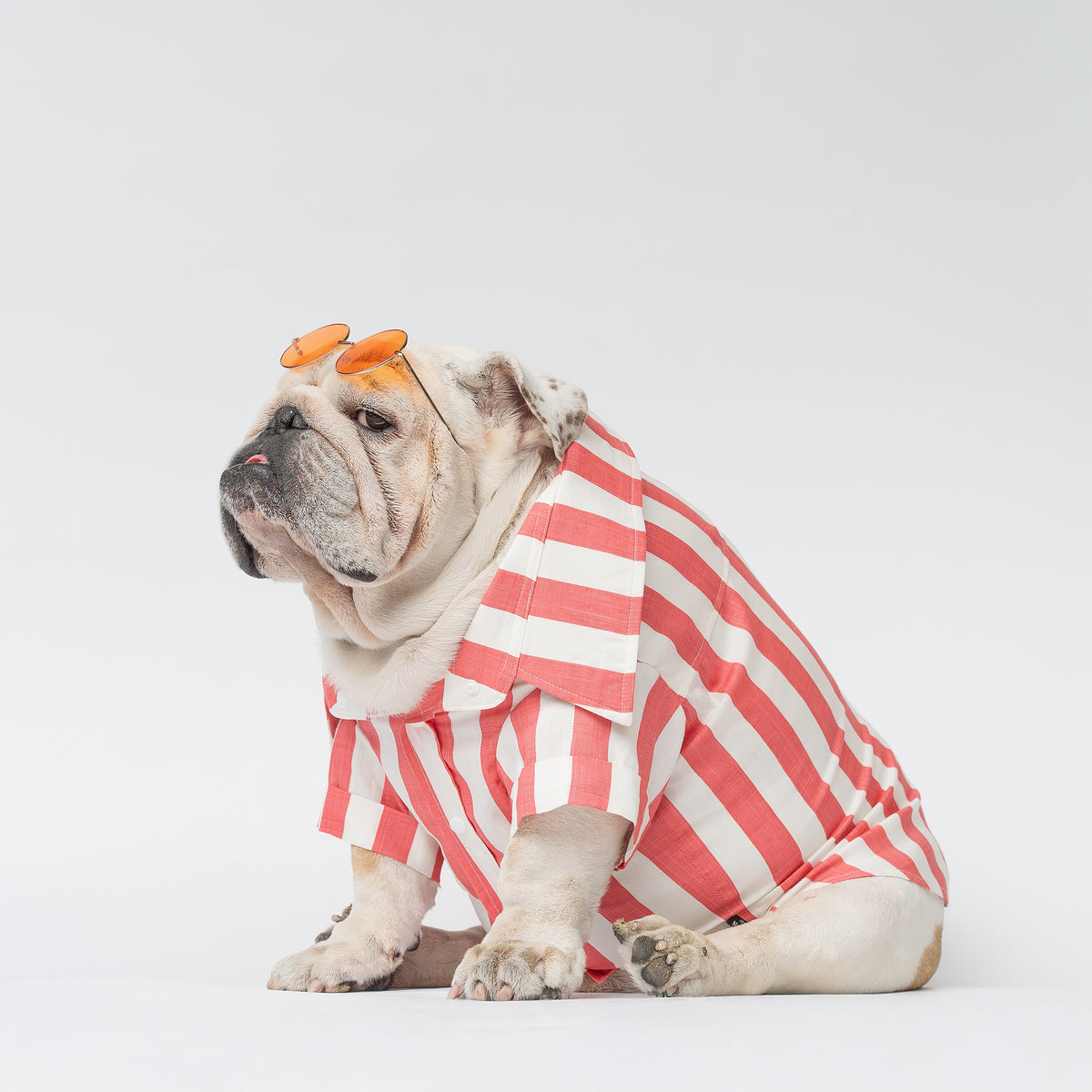 WONTON SUNSET STRIPE shirt