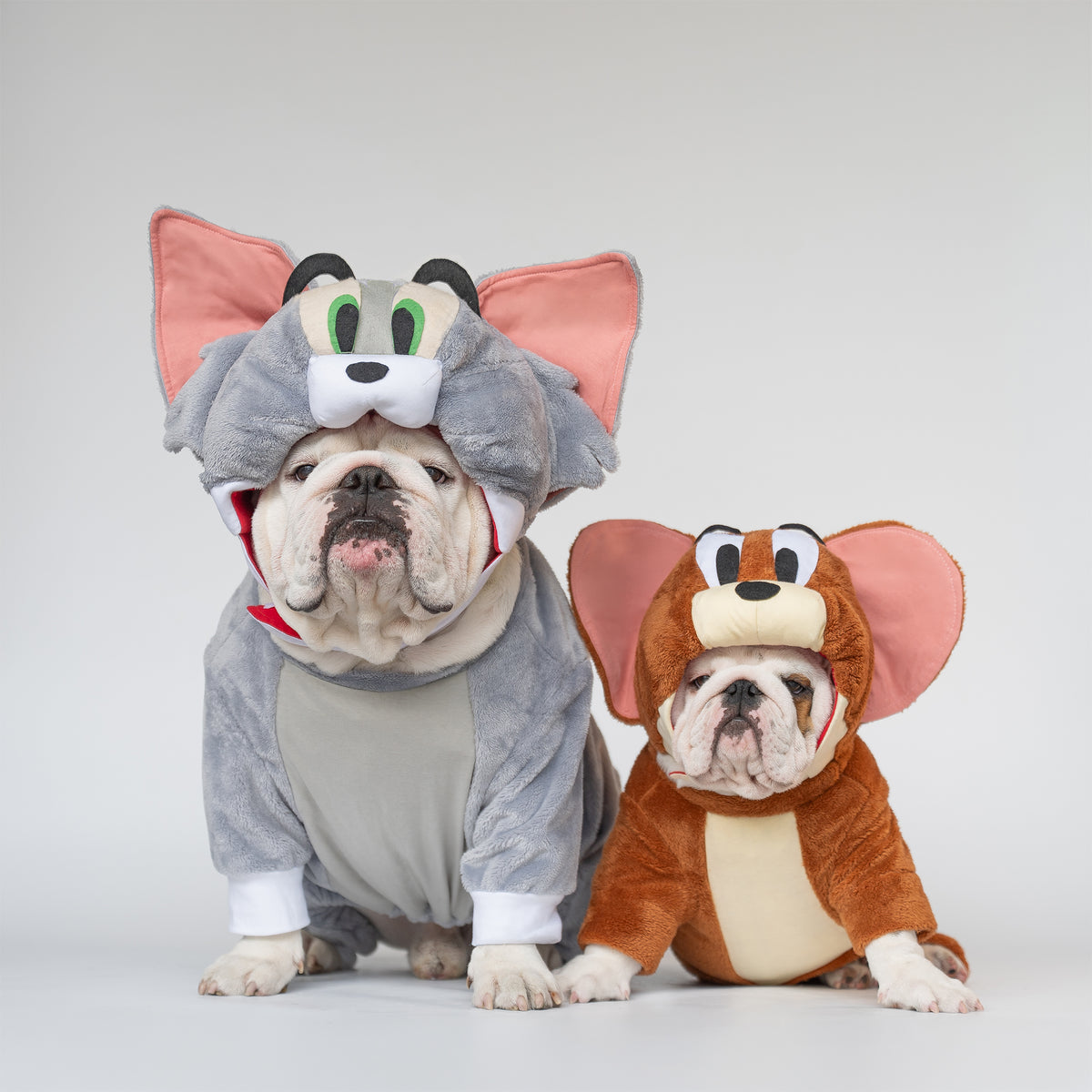 WONTON Jerry costume