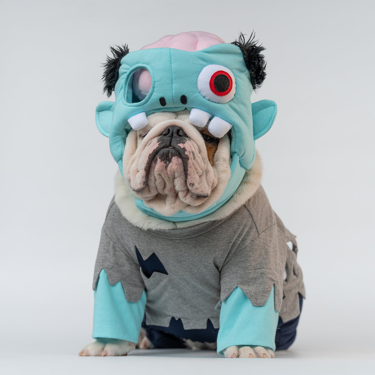 WONTON Zombie costume