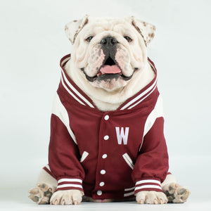 WONTON BAD BOYS BOMBER Jacket in burgundy, LIMITED EDITION (Customizable Chest Letter) - WontonCollection