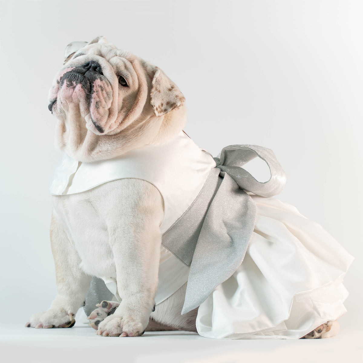 WONTON PROM NIGHT Dress in white - WontonCollection