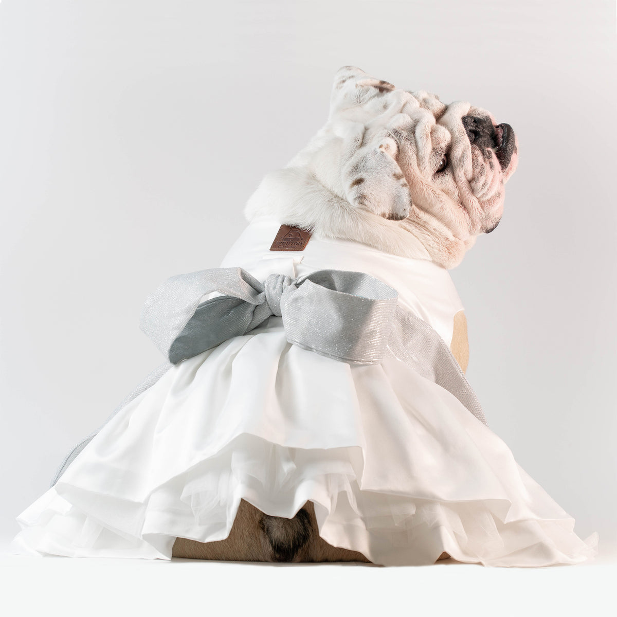 WONTON PROM NIGHT Dress in white - WontonCollection