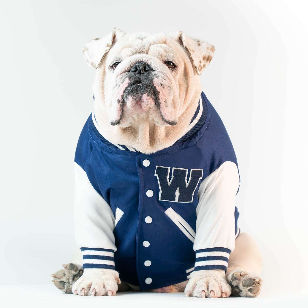WONTON VARSITY BOMBER Jacket in navy (Customizable Chest Letter) - WontonCollection