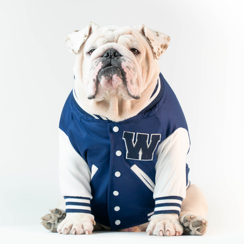 WONTON VARSITY BOMBER Jacket in navy (Customizable Chest Letter) - WontonCollection