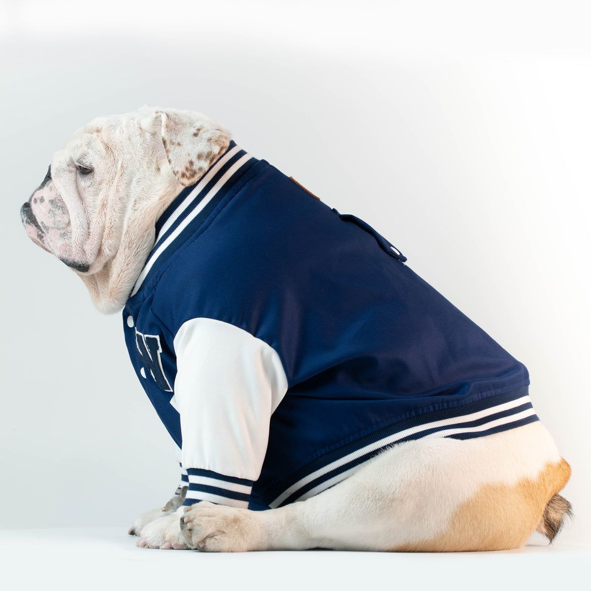 WONTON VARSITY BOMBER Jacket in navy (Customizable Chest Letter) - WontonCollection