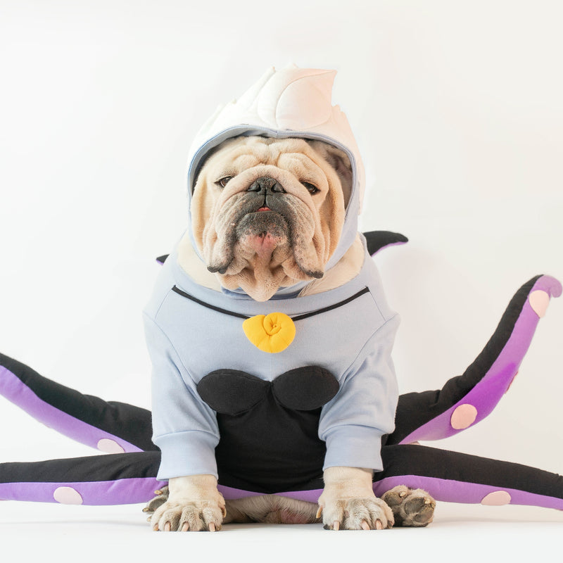 WONTON Bullsula costume