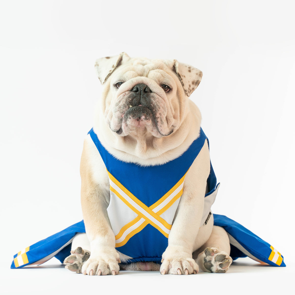 WONTON CHEERLEADER Outfit in blue and yellow