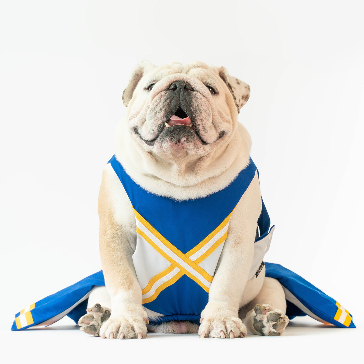 WONTON CHEERLEADER Outfit in blue and yellow