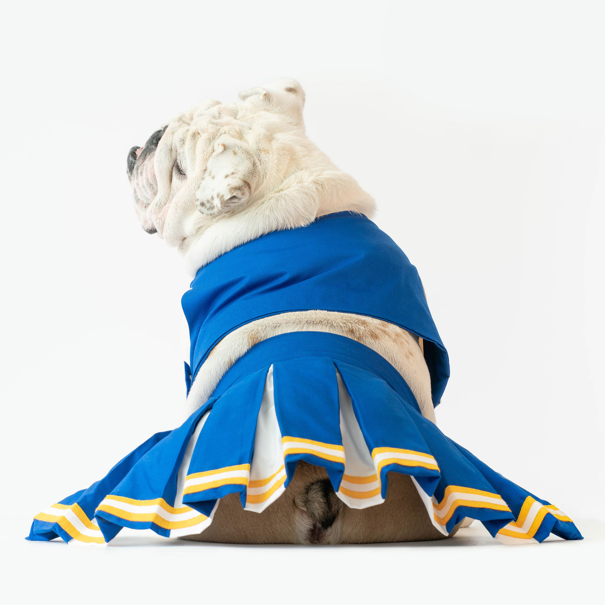 WONTON CHEERLEADER Outfit in blue and yellow