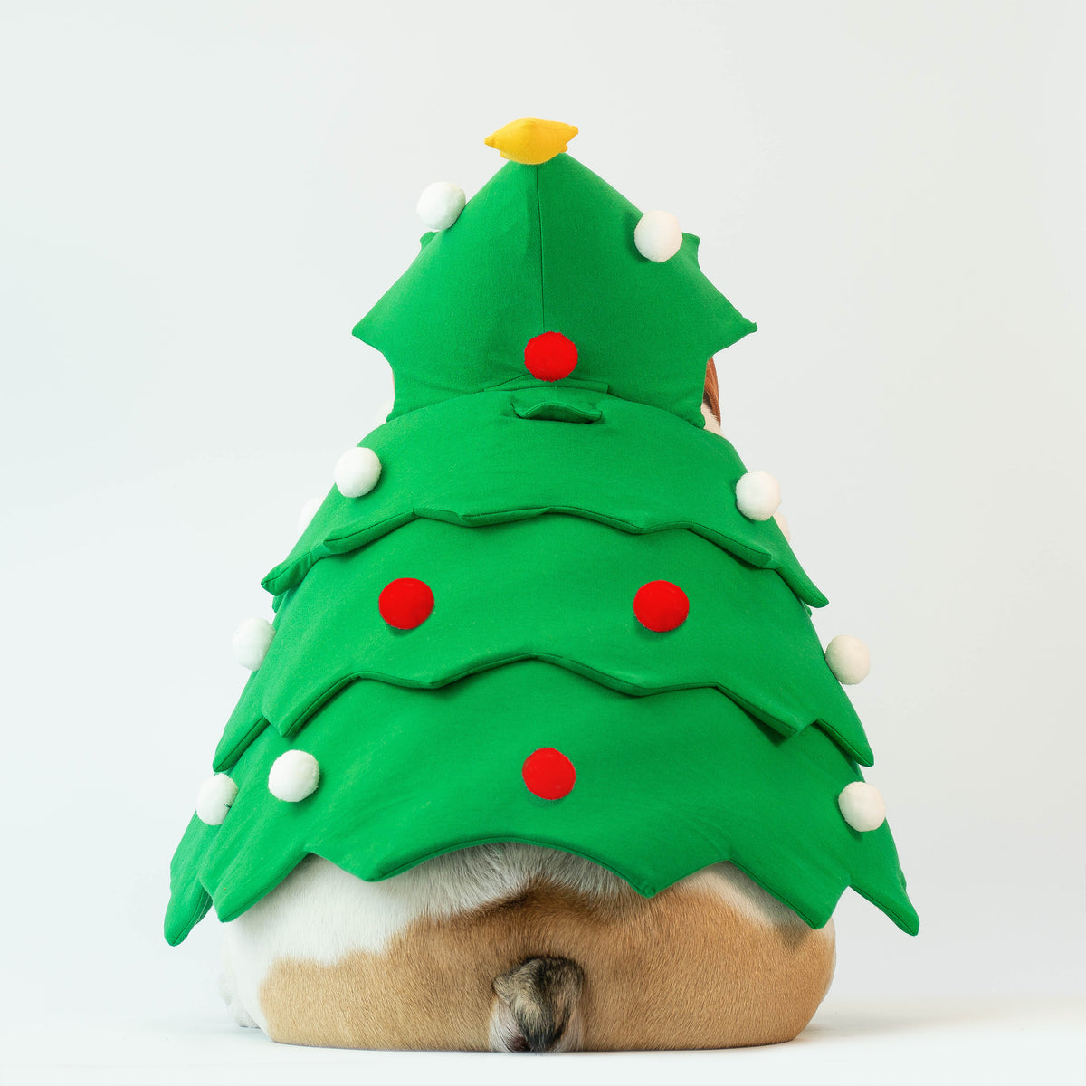 WONTON Christmas Tree Costume (Christmas Special)