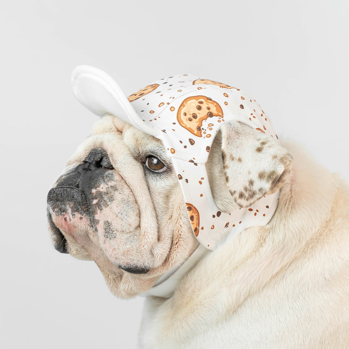 WONTON ONE CAP 2, Cookie print