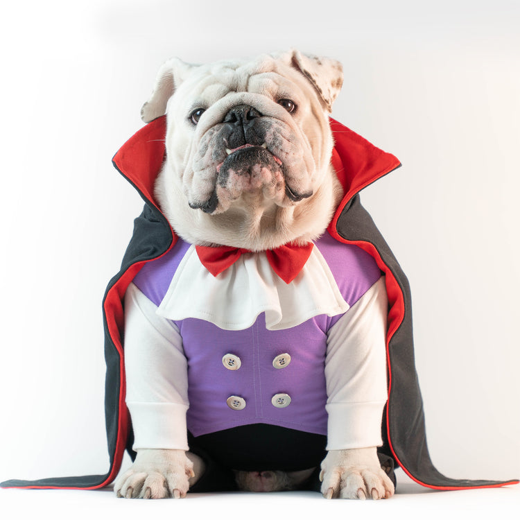 WONTON Count Dracula Onesie (HALLOWEEN LIMITED EDITION)