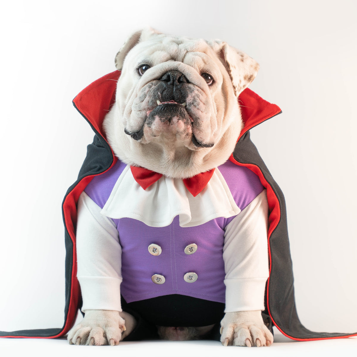 WONTON Count Dracula Onesie (HALLOWEEN LIMITED EDITION)