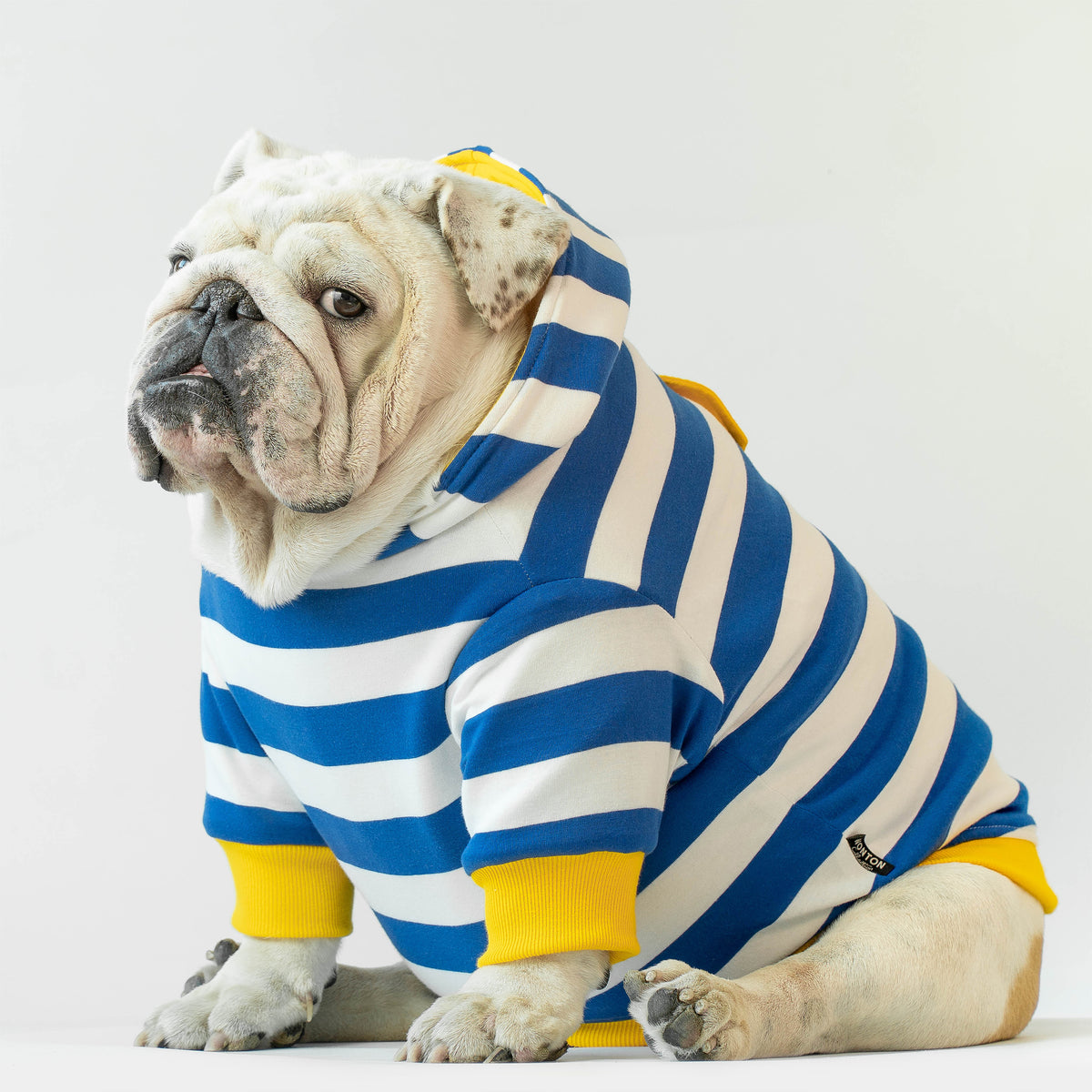 WONTON Good Day Sunshine Winter Hoodie