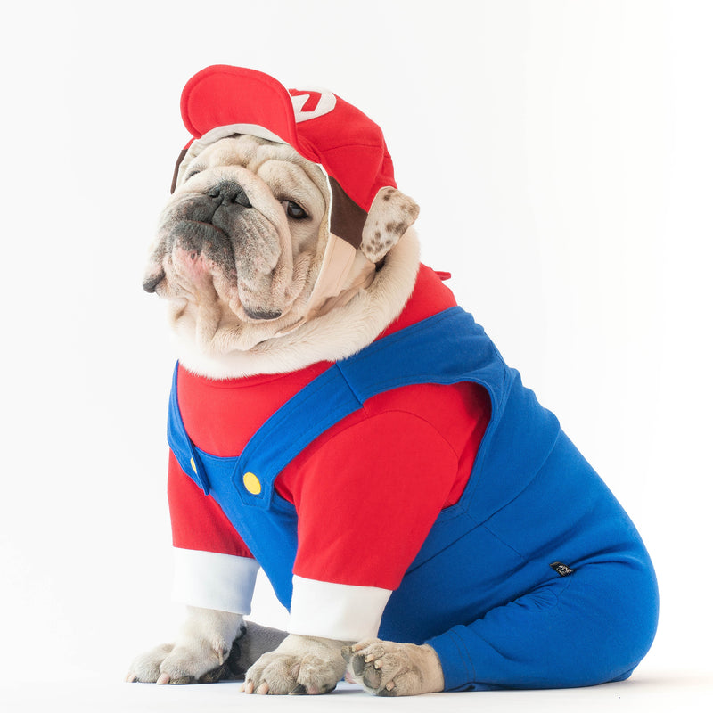 WONTON MARIO Costume