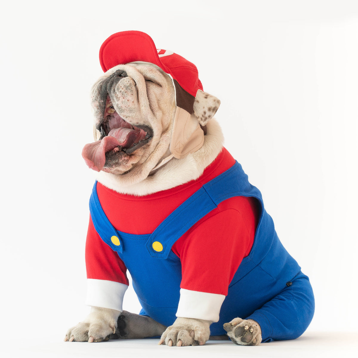 WONTON MARIO Costume