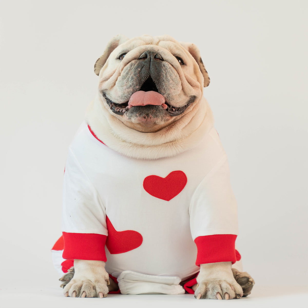 WONTON My Valentine JAMMIES (Valentine Special)