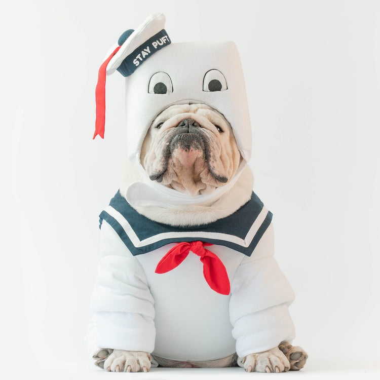 WONTON STAY PUFT Halloween Costume