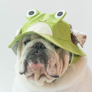 WONTON The Frog FISHERMAN HAT
