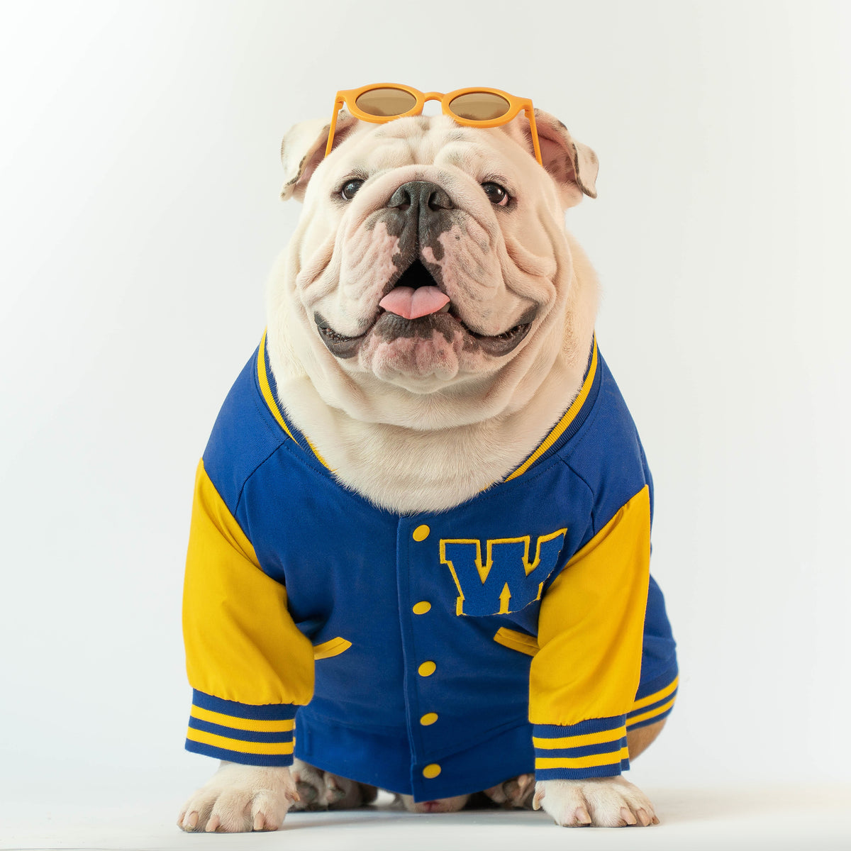 WONTON Varsity Bomber Jacket in blue and yellow