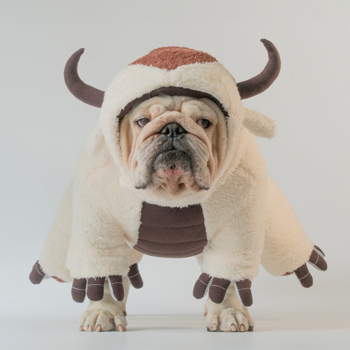WONTON Sky Bison costume