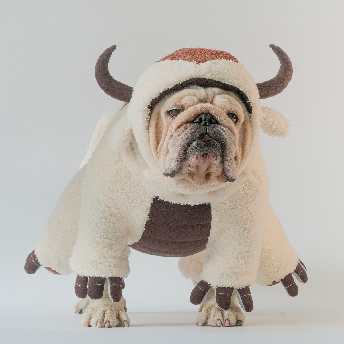 WONTON Sky Bison costume
