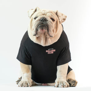 WONTON BAD ASS BULLDOG CLUB t-shirt in black and light pink