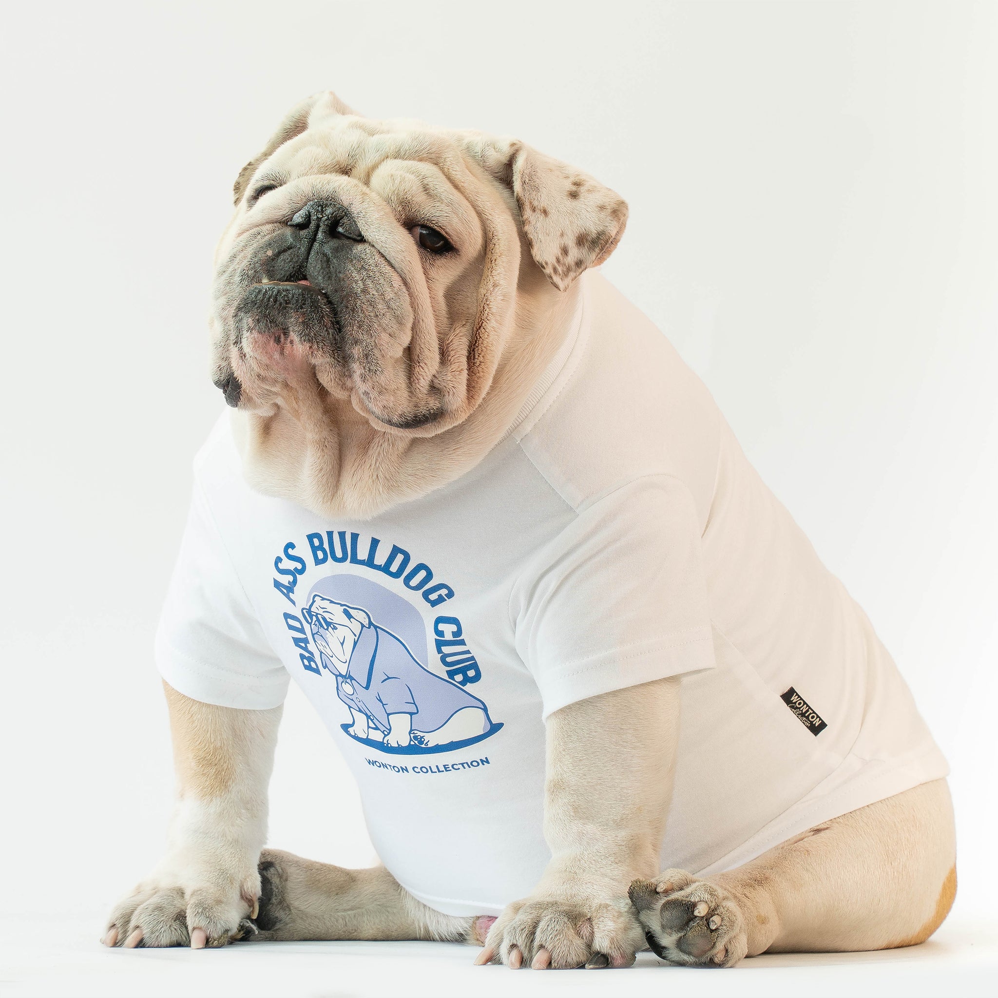 WONTON BAD ASS BULLDOG CLUB t-shirt in white and blue Wonton Collection WONTON BAD ASS BULLDOG CLUB t-shirt in white and blue Wonton Collection