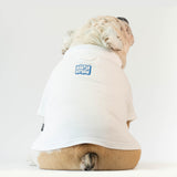 WONTON BAD ASS BULLDOG CLUB t-shirt in white and blue
