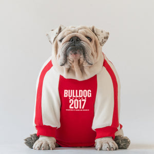 WONTON BULLDOG NATION sweater