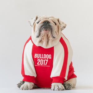 WONTON BULLDOG NATION sweater