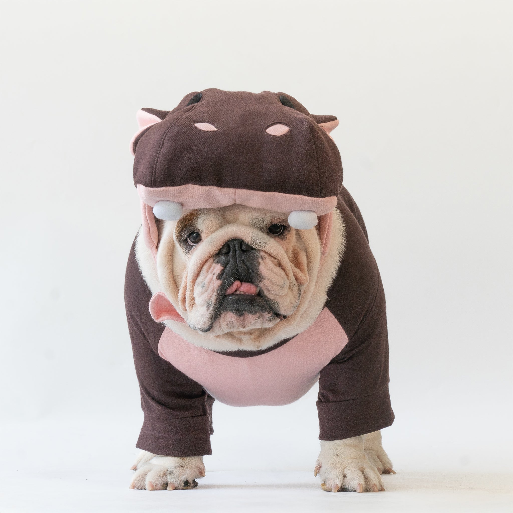 WONTON Baby Hippo costume