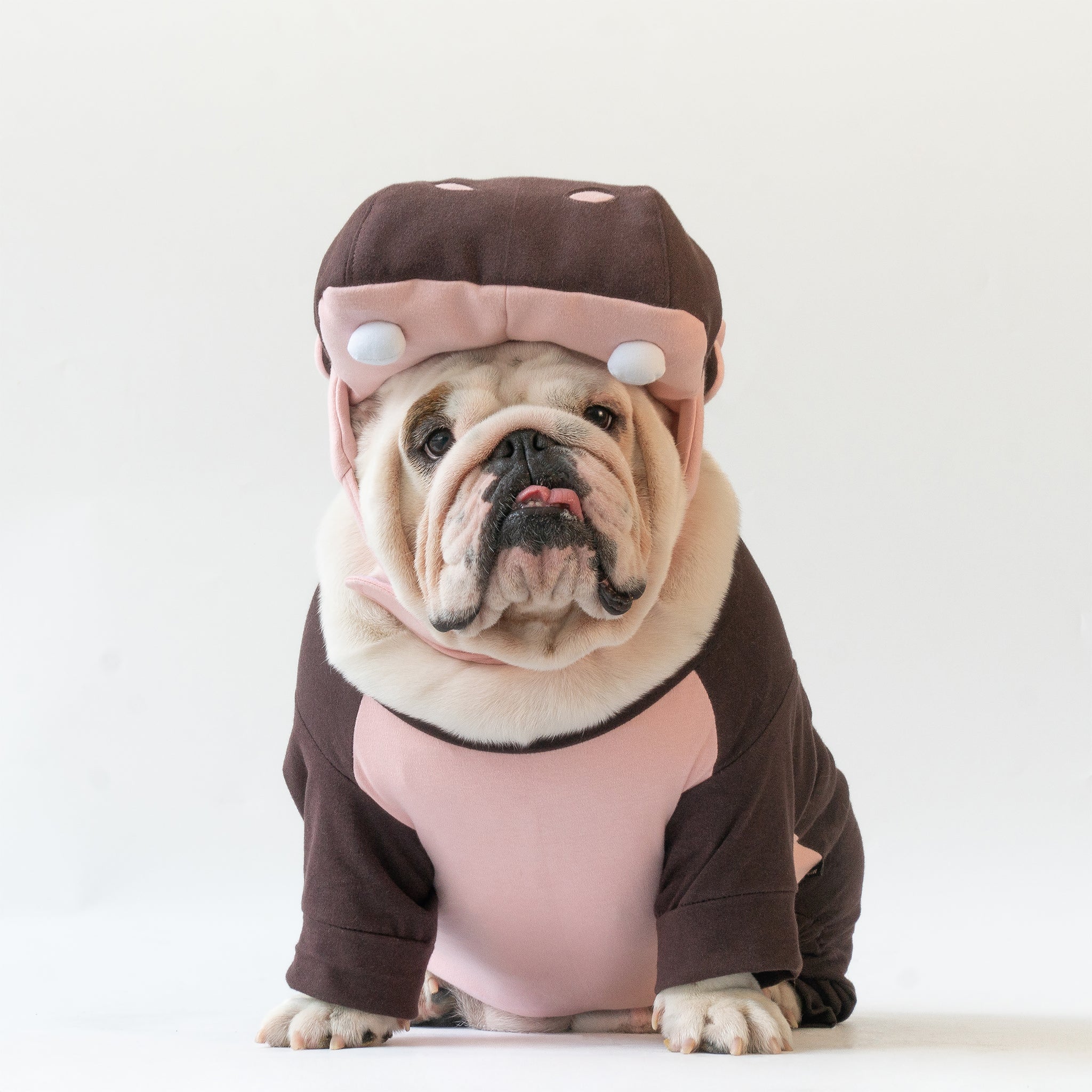 WONTON Baby Hippo costume