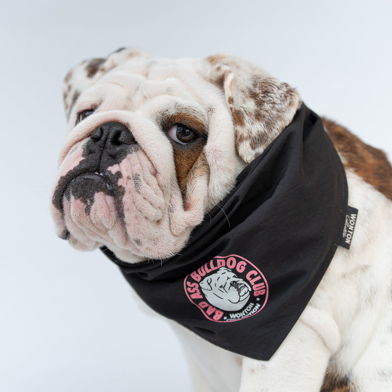 WONTON BAD ASS BULLDOG CLUB Double-sided Bandana