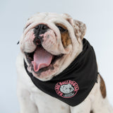 WONTON BAD ASS BULLDOG CLUB Double-sided Bandana