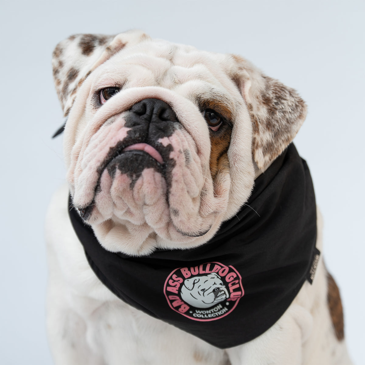 WONTON BAD ASS BULLDOG CLUB Double-sided Bandana