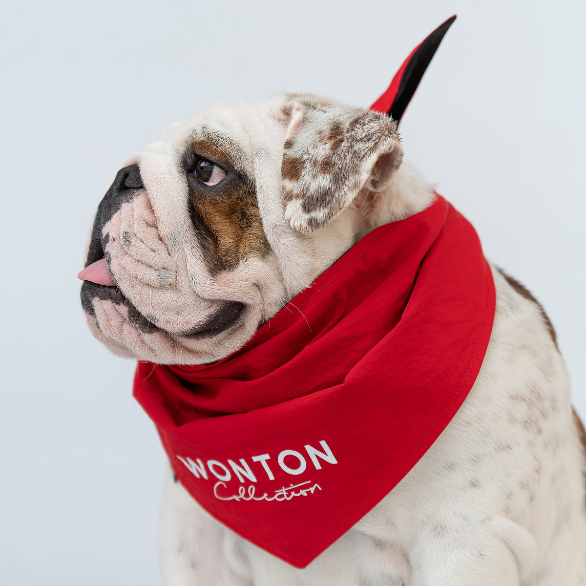 WONTON BAD ASS BULLDOG CLUB Double-sided Bandana