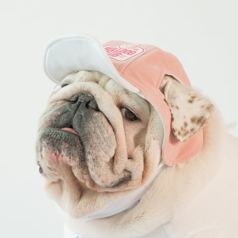 WONTON Badass Bulldog Club ONE CAP 2 in pink