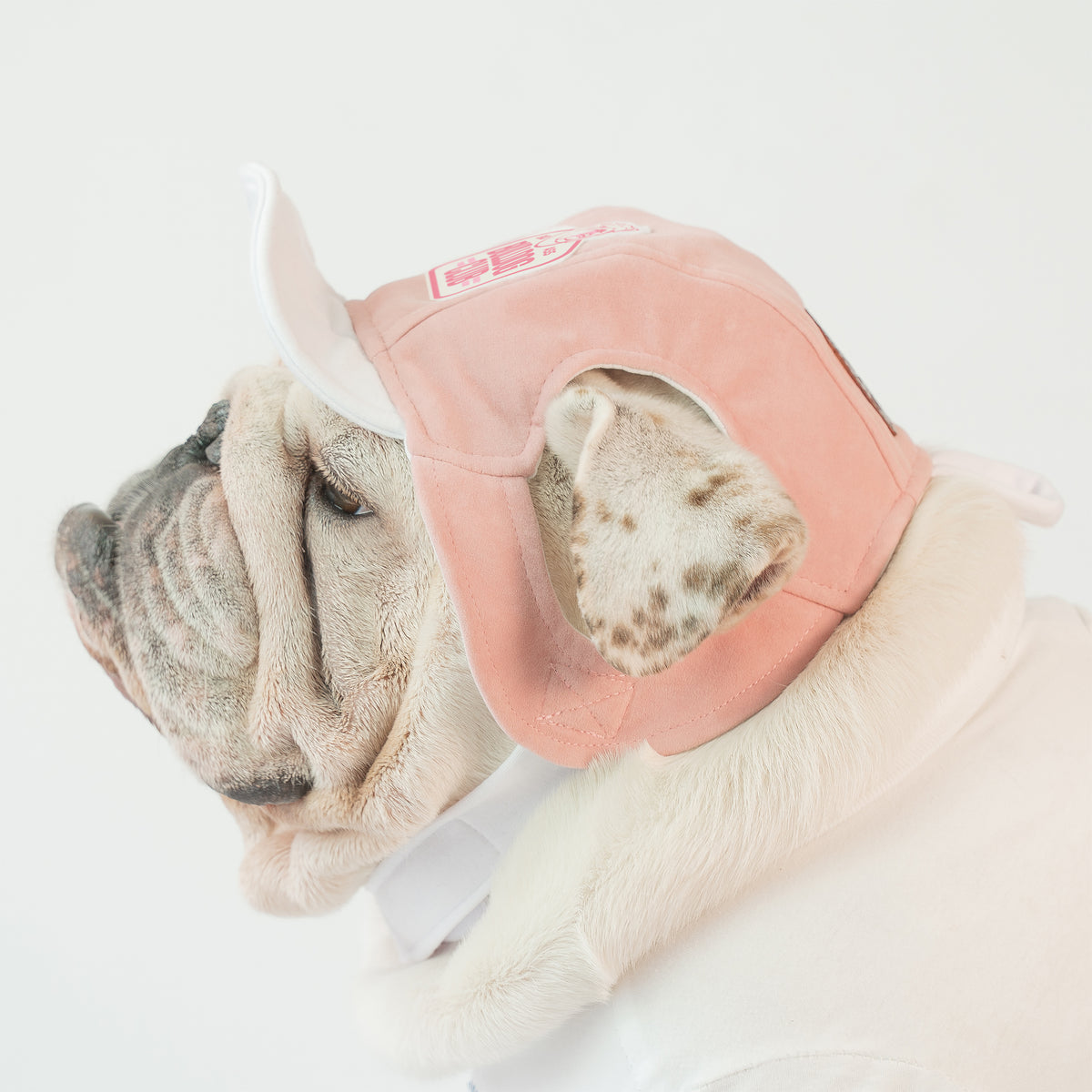 WONTON Badass Bulldog Club ONE CAP 2 in pink