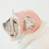 WONTON Badass Bulldog Club ONE CAP 2 in pink