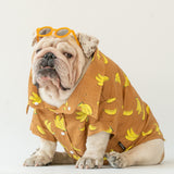 WONTON Banana Split shirt