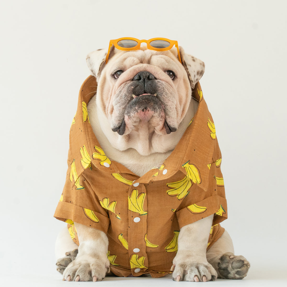 WONTON Banana Split shirt