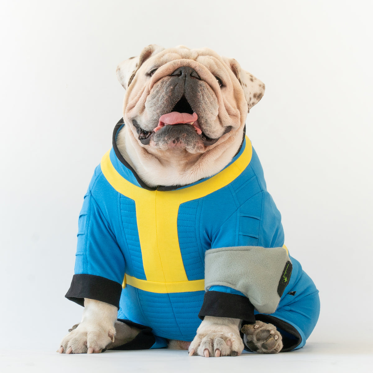 WONTON Bark Boy costume
