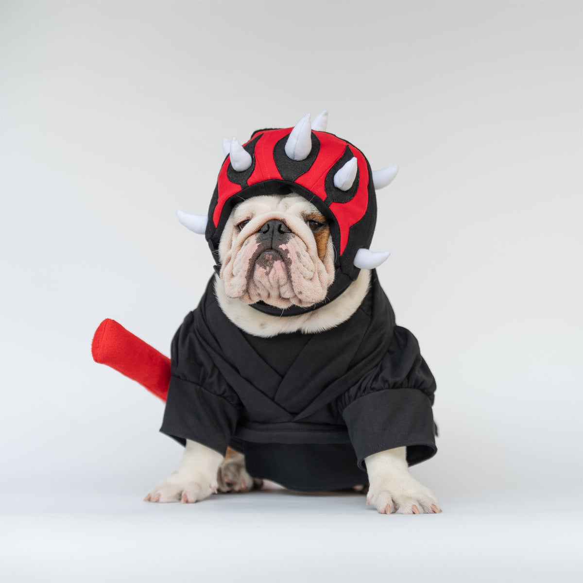 WONTON Bark Maul costume